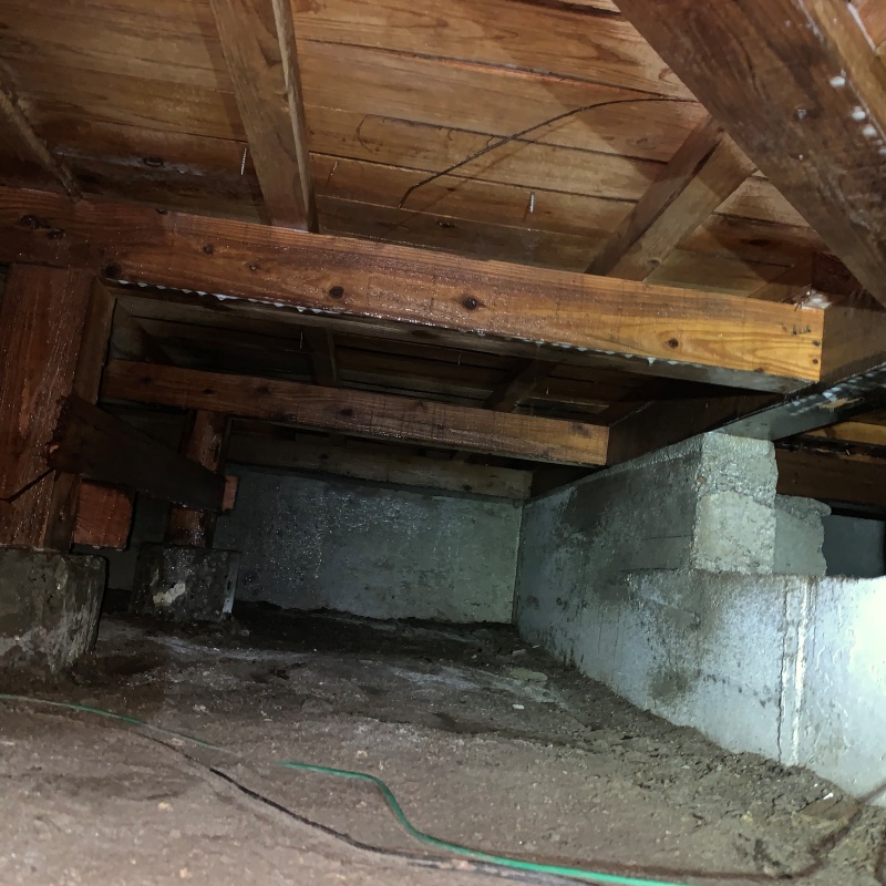 地面・基礎にシロアリ駆除剤を散布した様子