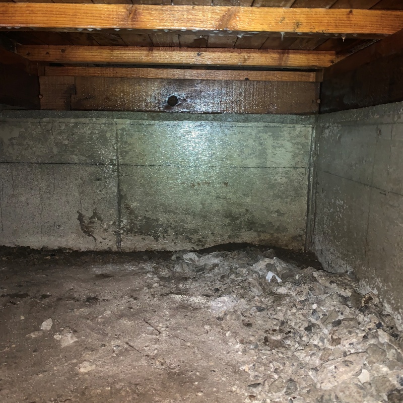 地面・基礎にシロアリ駆除剤を吹き付けた様子