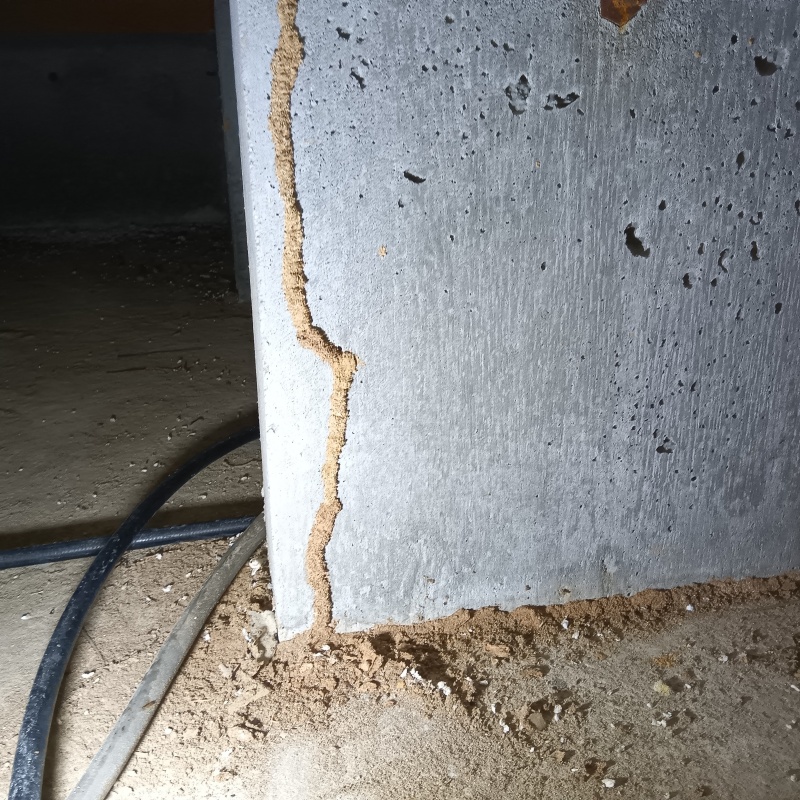 築年数25年のシロアリ駆除の施工事例（佐賀県杵島郡江北町）