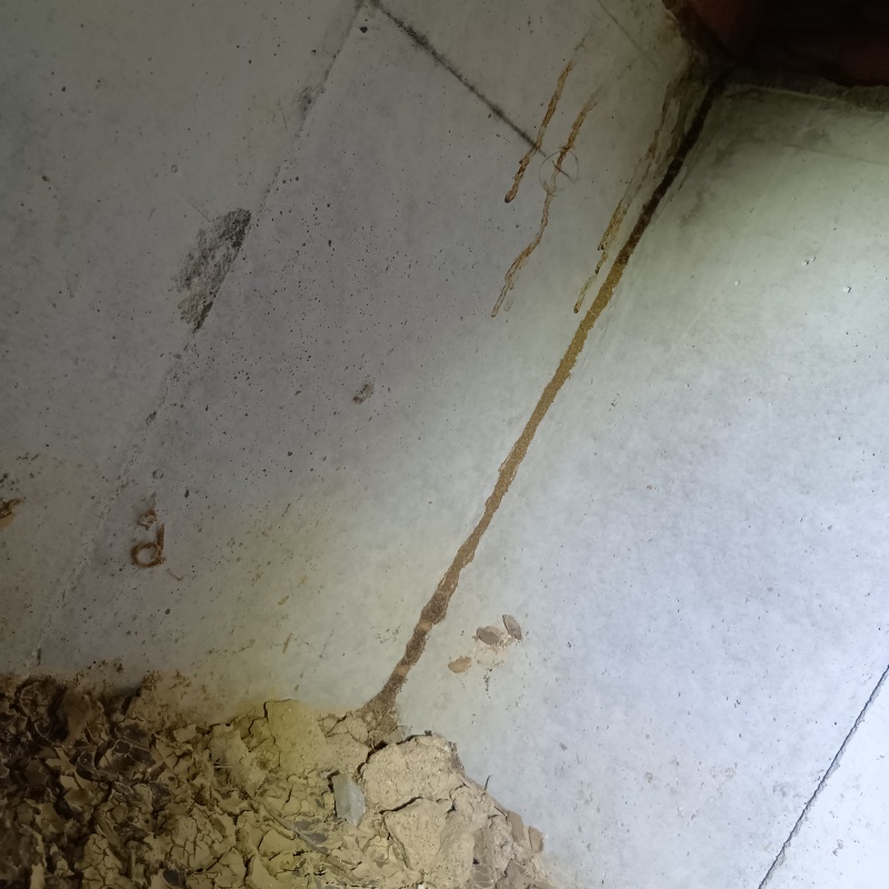 築年数30年のシロアリ駆除の施工事例（石川県金沢市橋場町）