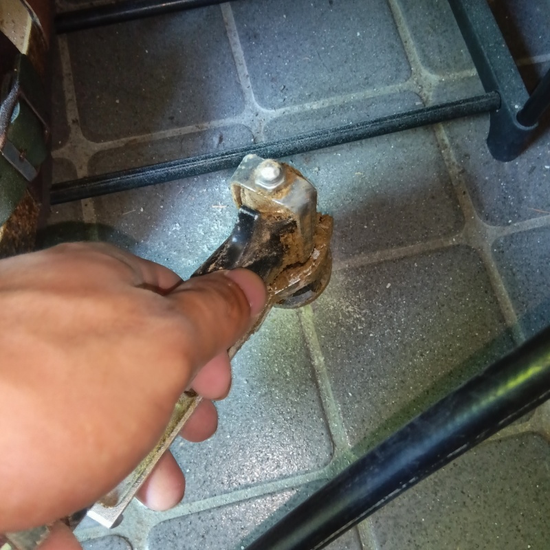 玄関床の目地からシロアリ駆除剤を注入