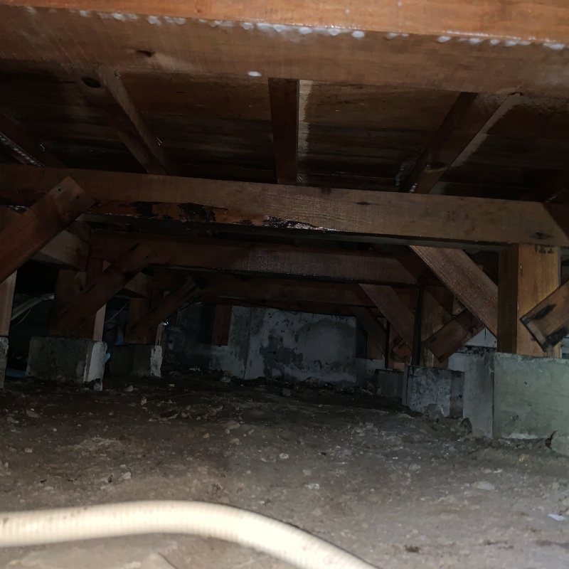 地面・基礎にシロアリ駆除剤を散布した様子