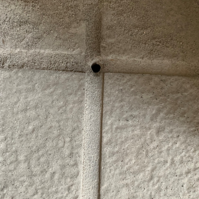 シロアリ駆除剤を注入するための穴を開けた様子