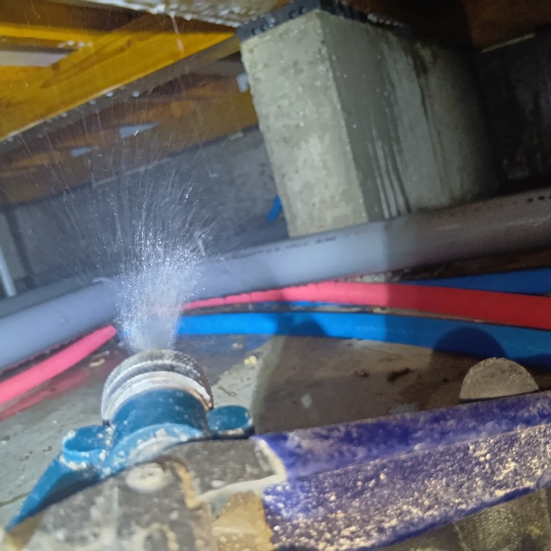 地面・基礎にシロアリ駆除剤を散布