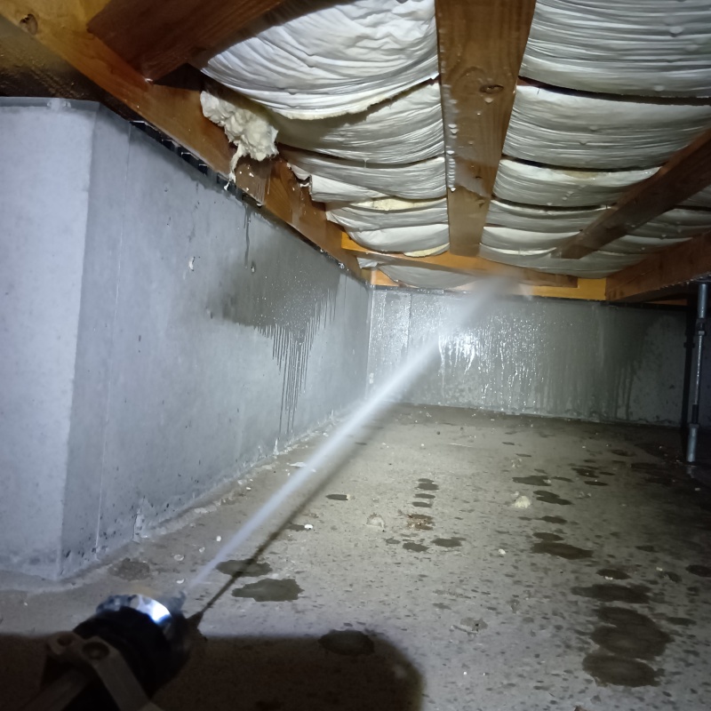 基礎にシロアリ駆除剤を散布