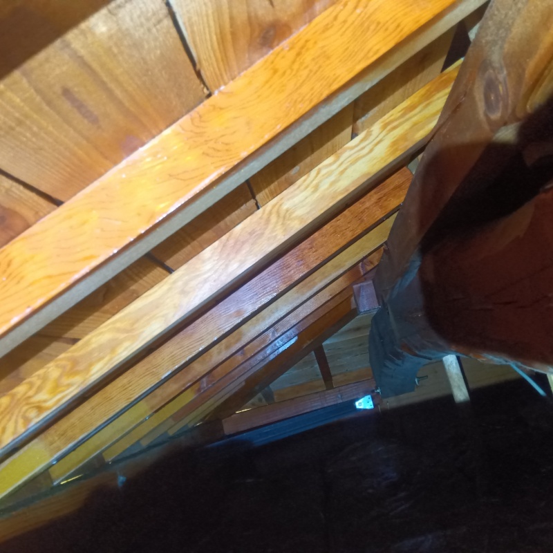 屋根裏の木材にシロアリ駆除剤を散布した様子