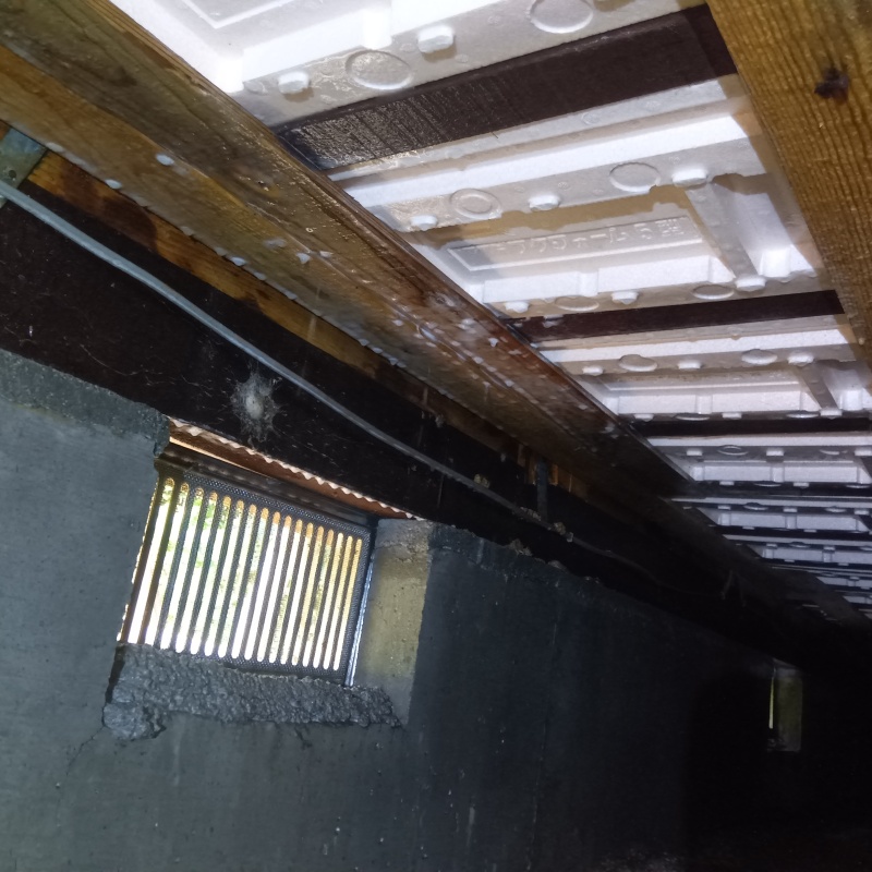 基礎にシロアリ駆除剤を散布した様子