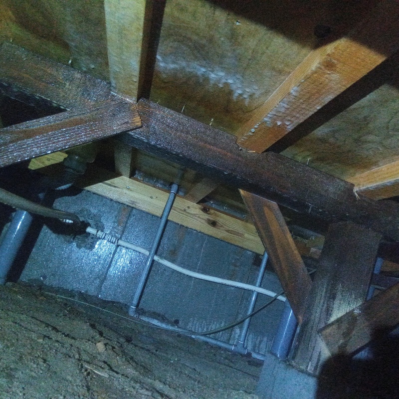 地面・基礎にシロアリ駆除剤を散布した様子