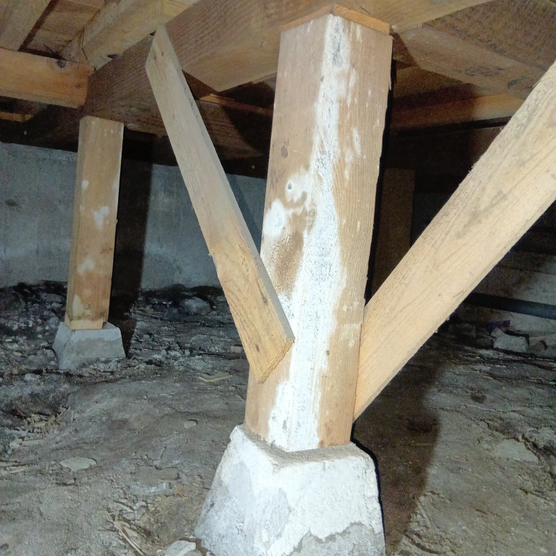 築年数40年のシロアリ駆除の施工事例（熊本県合志市須屋）