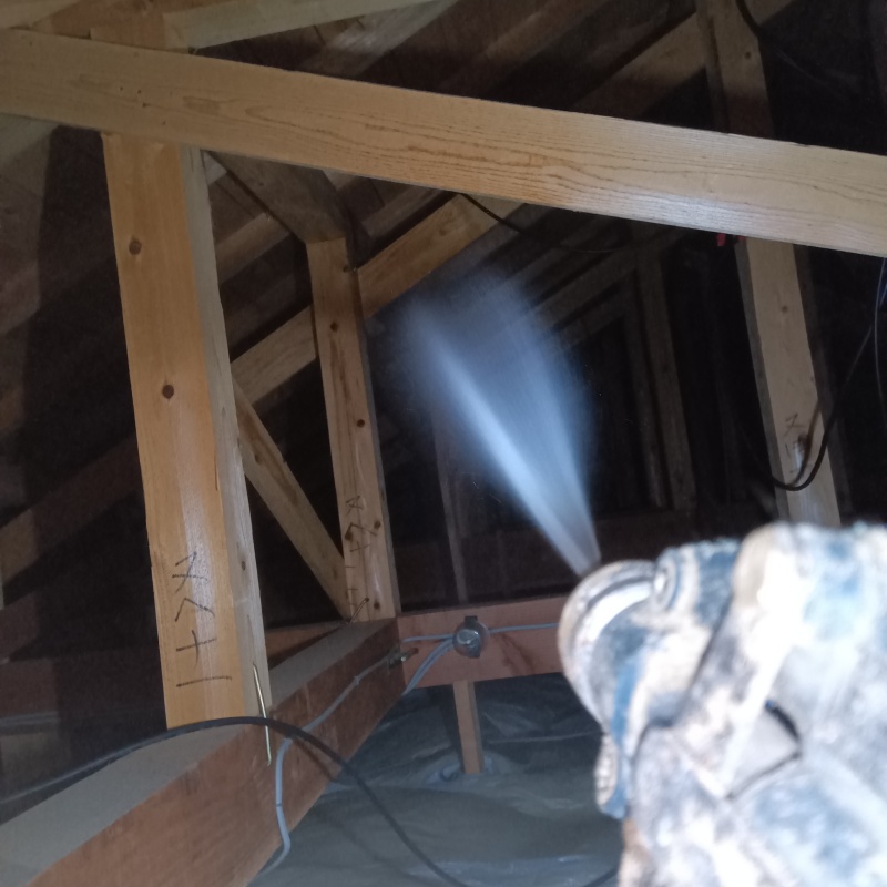 屋根裏の木材にシロアリ駆除剤を散布