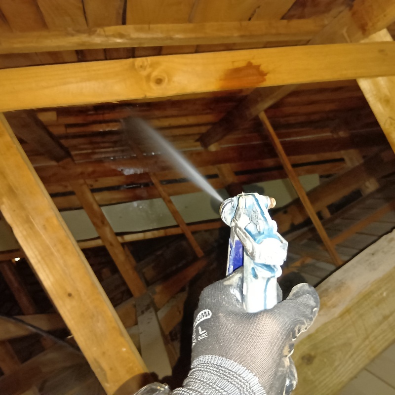 屋根裏の木材にシロアリ駆除剤を散布