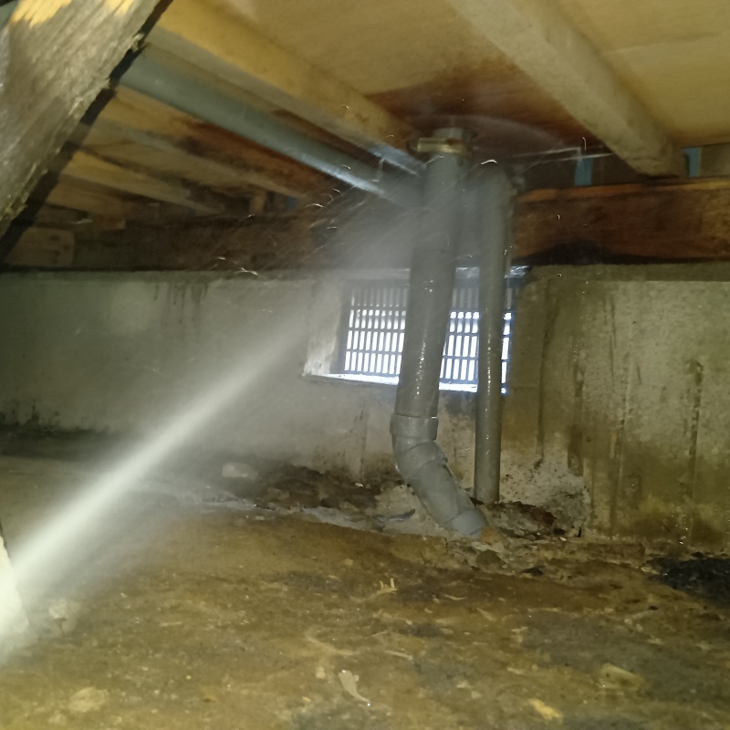 床下木材にシロアリ駆除剤を散布