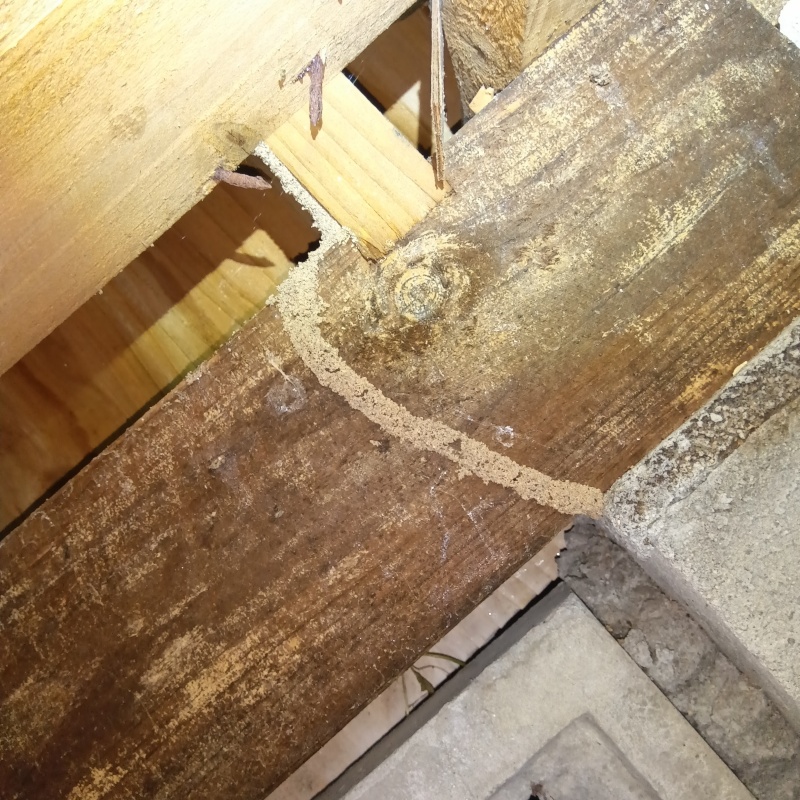 築年数40年のシロアリ駆除の施工事例（佐賀県唐津市）