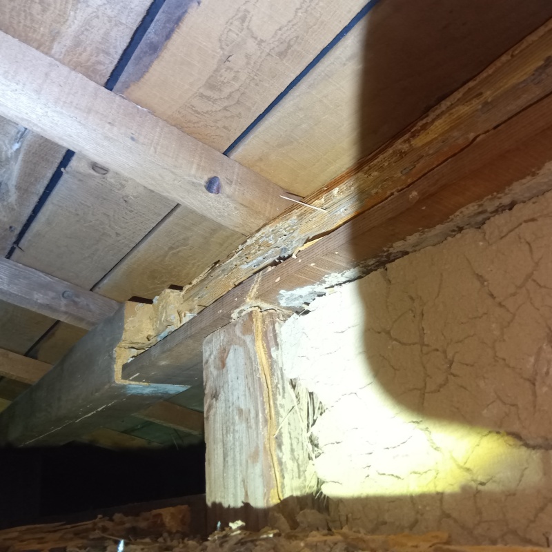 築年数58年のシロアリ駆除の施工事例（山口県防府市西浦丸山）