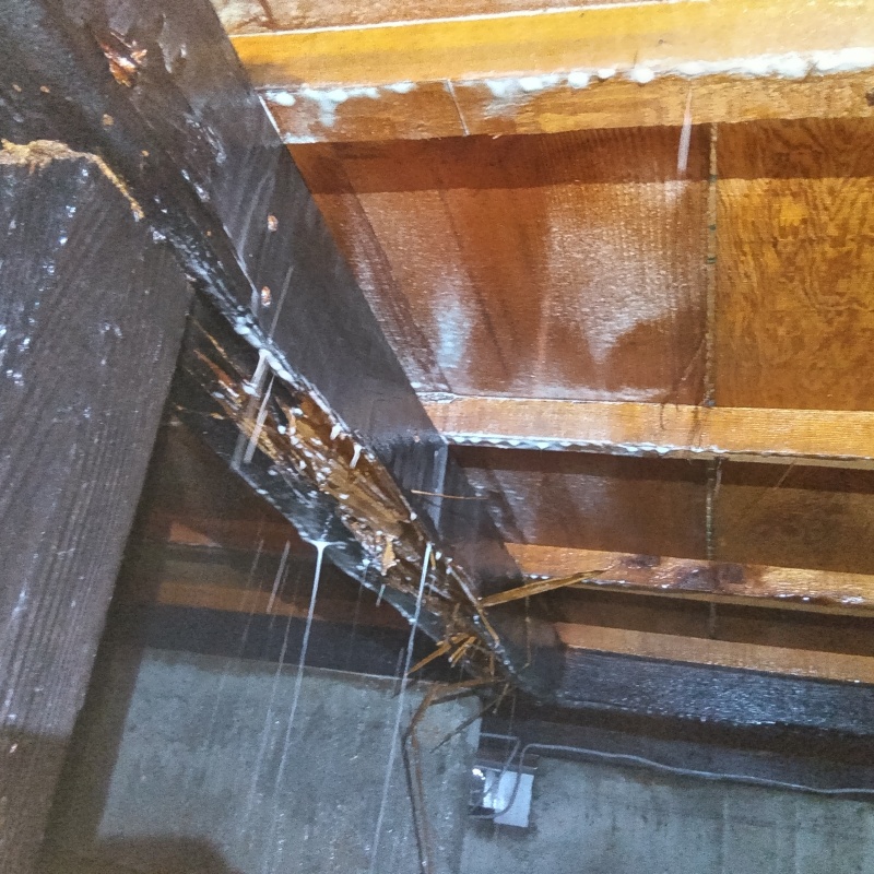 床下木材にシロアリ駆除剤を散布した様子