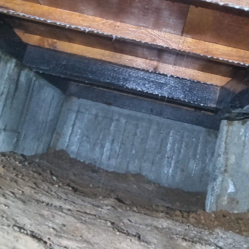 地面・基礎にシロアリ駆除剤を散布した様子