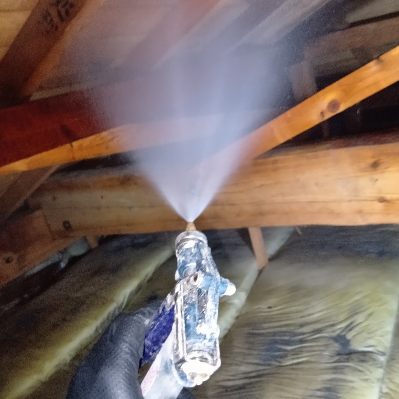 屋根裏の木材にシロアリ駆除剤を散布