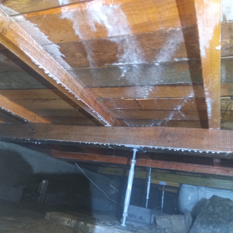 シロアリ駆除の施工事例（広島県広島市中区東白島町）