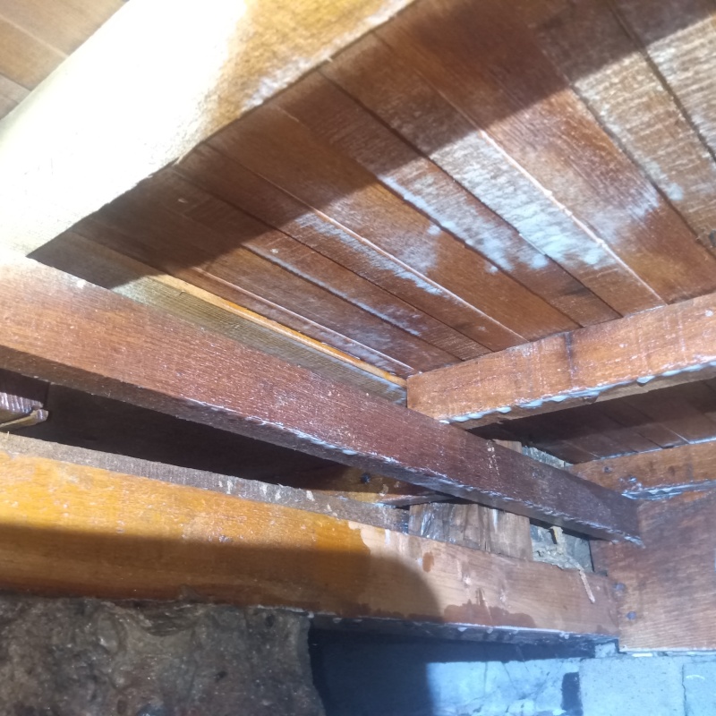 床下木材にシロアリ駆除剤を散布した様子