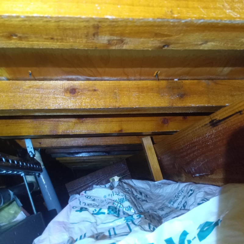 屋根裏の木材にシロアリ駆除剤を散布した様子