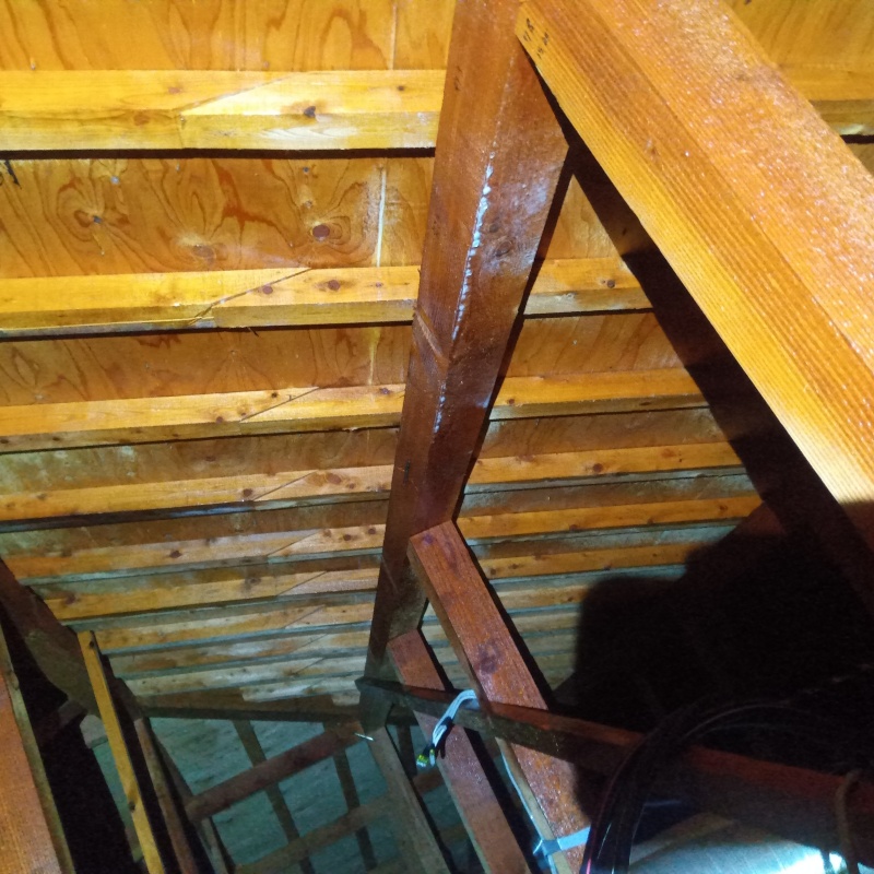 屋根裏の木材にシロアリ駆除剤を散布した様子