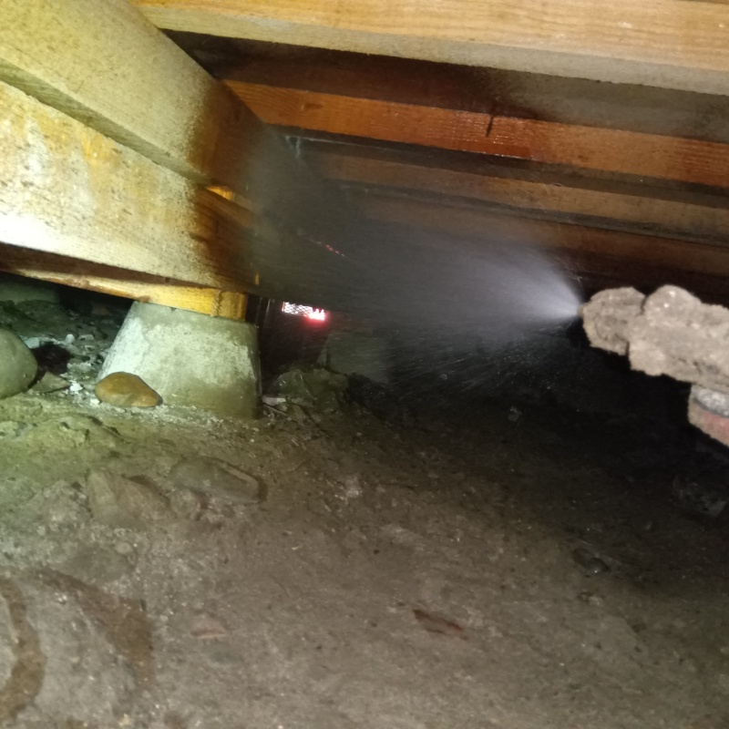 床下木材にシロアリ駆除剤を散布