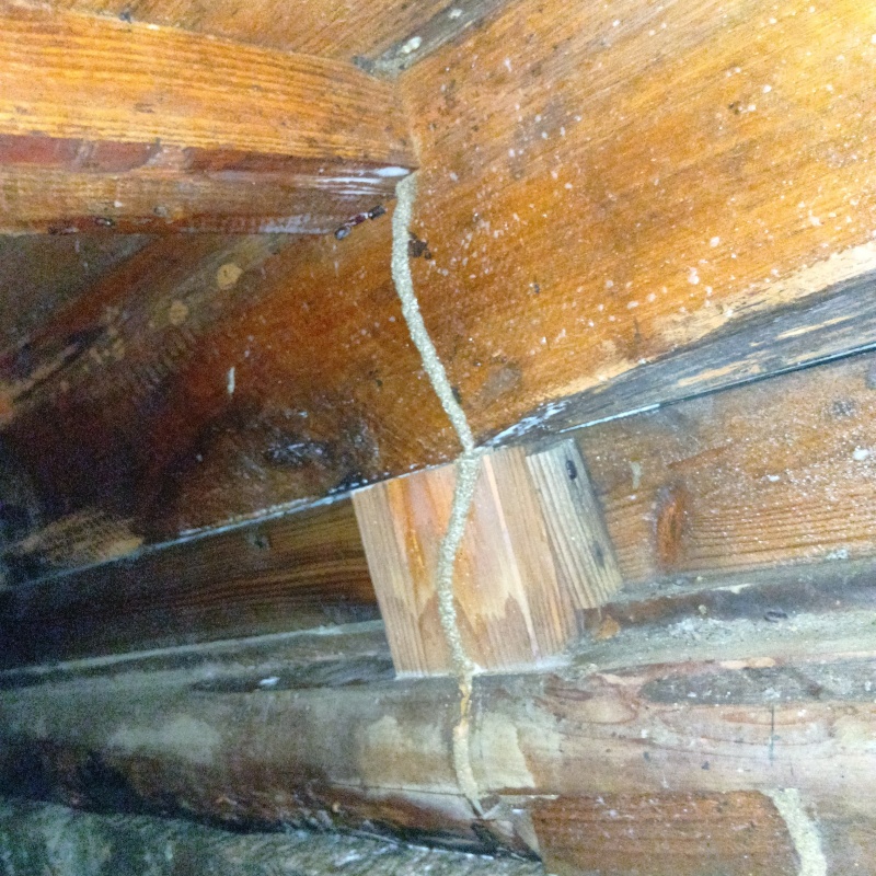 築年数50年のシロアリ駆除の施工事例（宮崎県東臼杵郡門川町庵川）