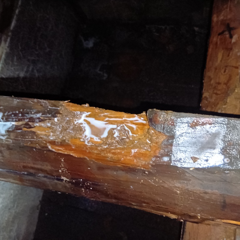 床下木材にシロアリ駆除剤を散布した様子