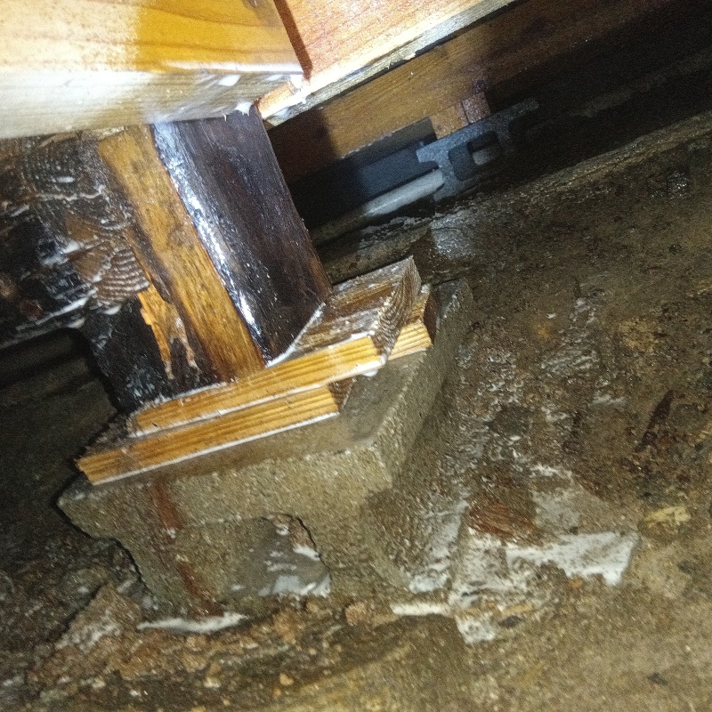 地面にシロアリ駆除剤を散布した様子