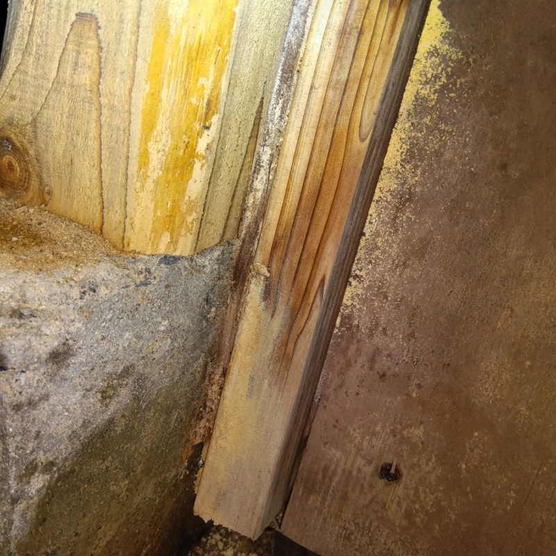 築年数54年のシロアリ駆除の施工事例（佐賀県杵島郡大町町福母）