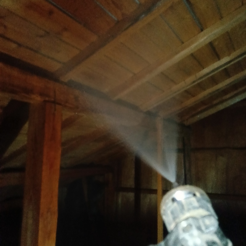 屋根裏の木材にシロアリ駆除剤を散布