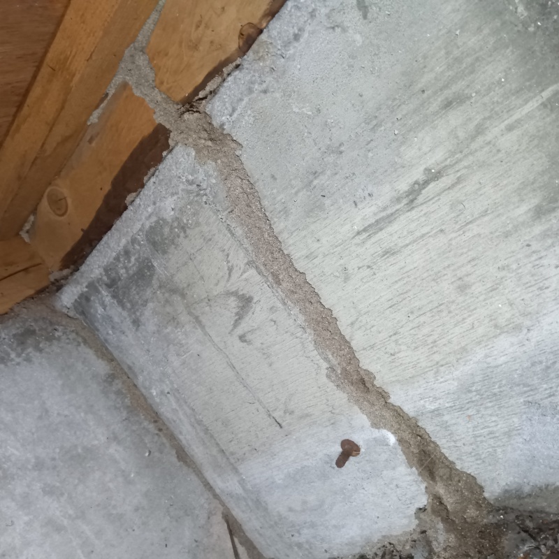 築年数30年のシロアリ駆除の施工事例（大阪府堺市西区鳳東町）