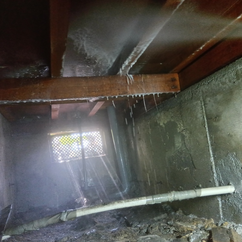 床下木材にシロアリ駆除剤を吹き付ける様子