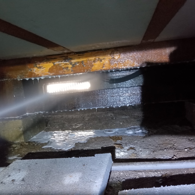 築年数30年のシロアリ駆除の施工事例（東京都渋谷区幡ヶ谷）