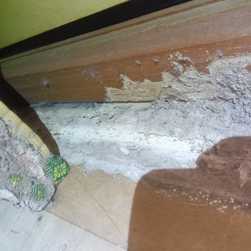 築年数30年のシロアリ駆除の施工事例（山口県周南市東山町）