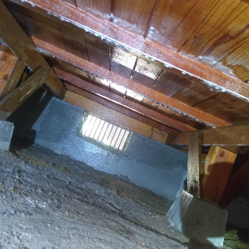 地面・基礎にシロアリ駆除剤を散布した様子