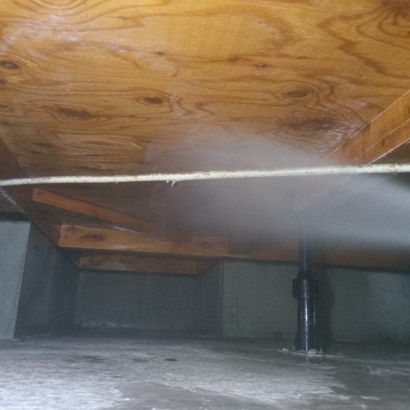 床下木材にシロアリ駆除剤を吹き付けている様子