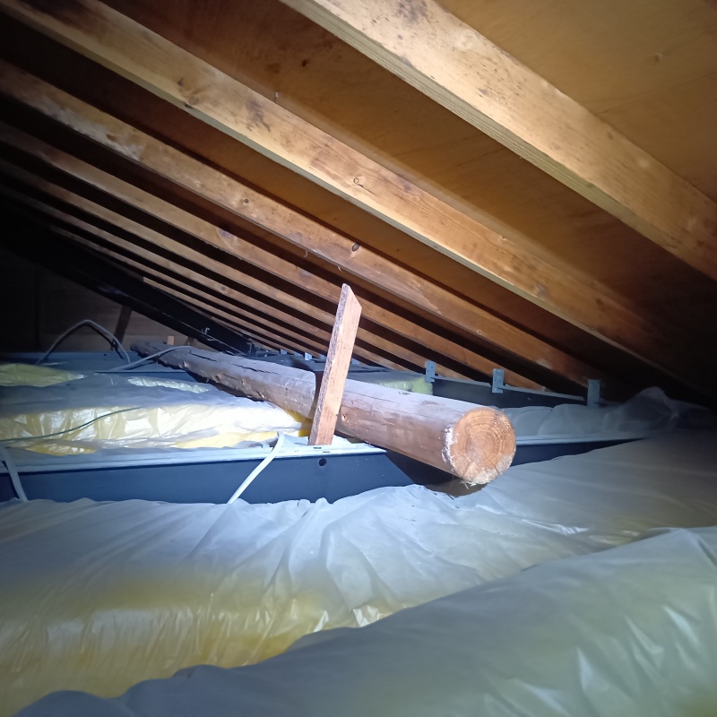 築年数40年のシロアリ駆除の施工事例（福岡県福岡市中央区谷）