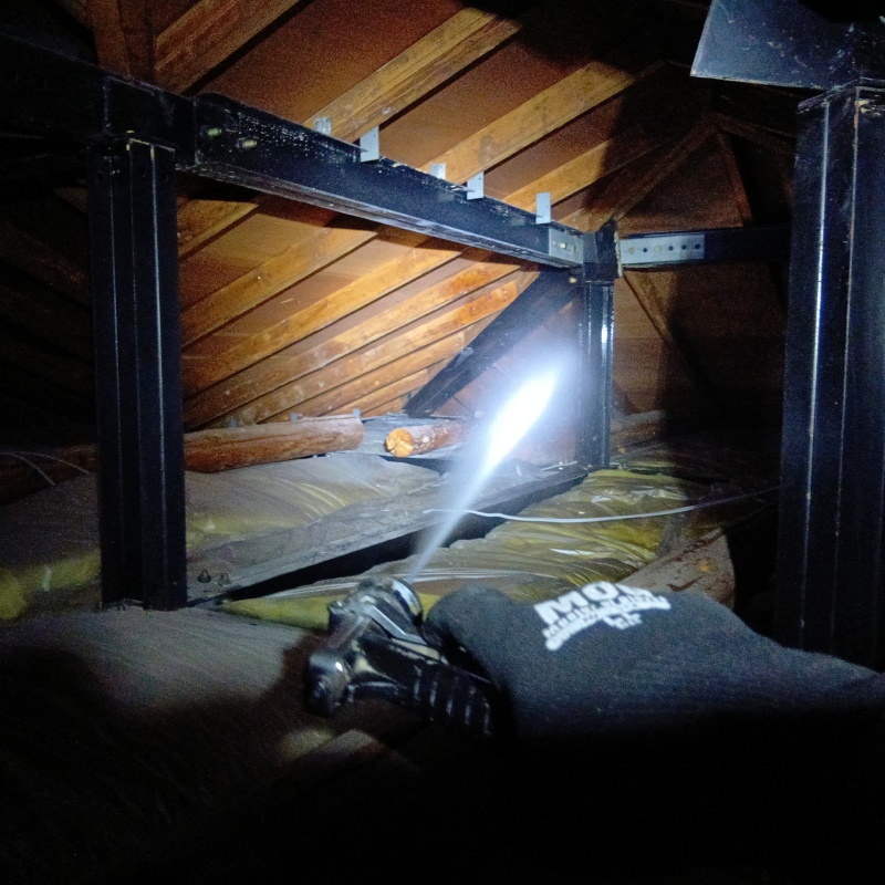 屋根裏の木材にシロアリ駆除剤を散布