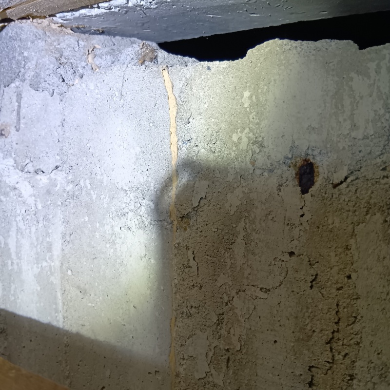 築年数45年のシロアリ駆除の施工事例（福井県福井市）