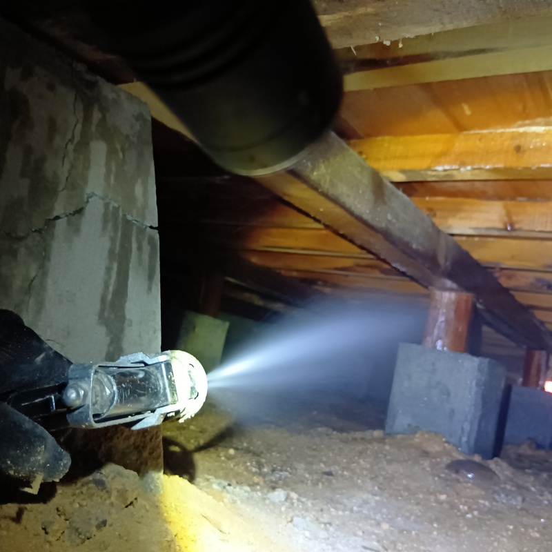 床下木材にシロアリ駆除剤を吹き付ける様子
