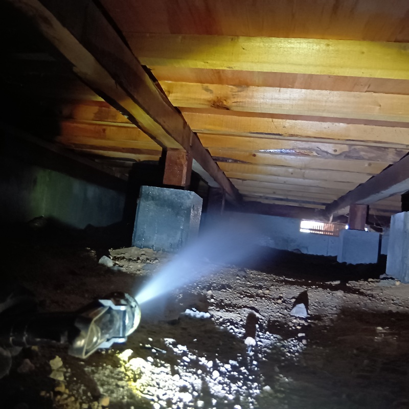 基礎にシロアリ駆除剤を散布