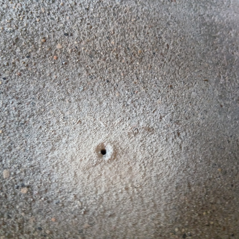 シロアリ駆除剤を注入するための穴を開けた様子