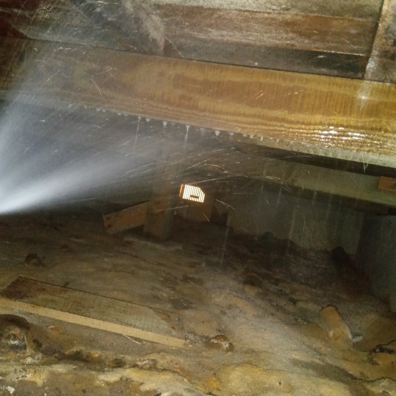 床下木材に防蟻剤を散布