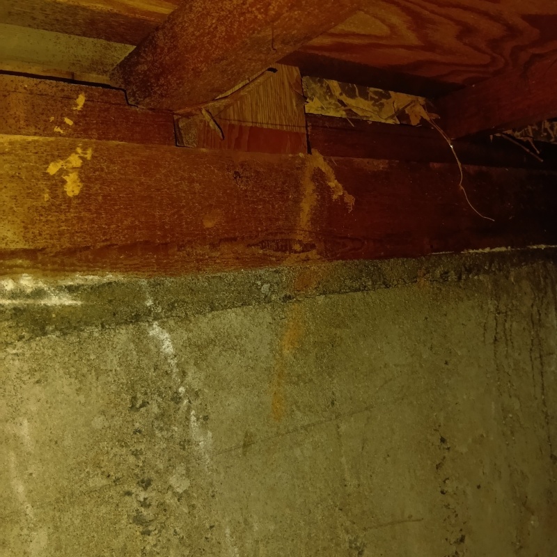 基礎にシロアリ駆除剤を散布