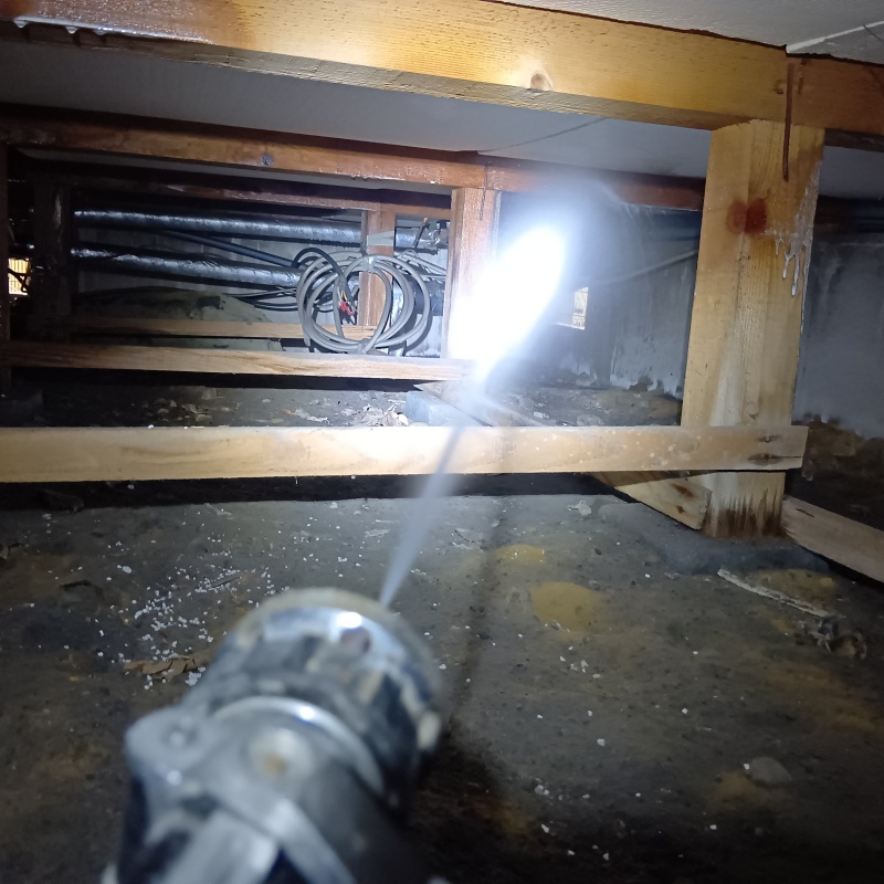 床下木材にシロアリ駆除剤を散布