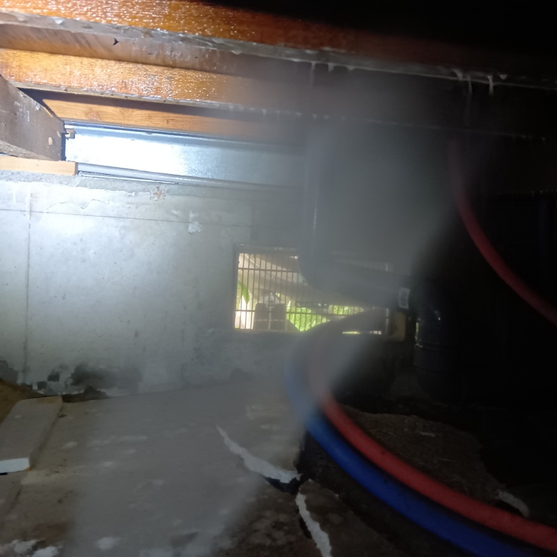 床下木材にシロアリ駆除剤を吹き付けている様子