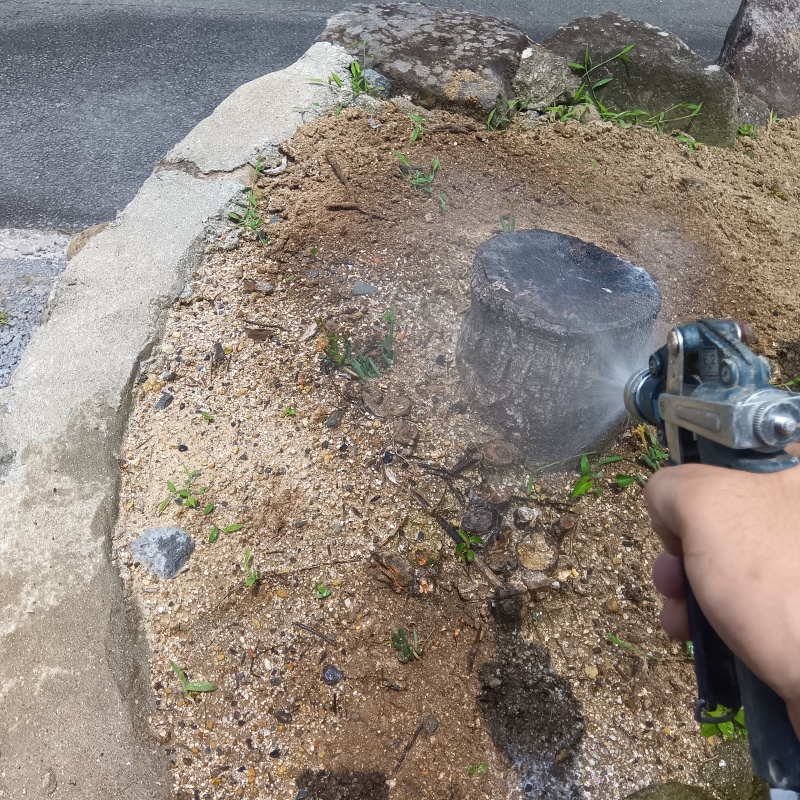 築年数50年のシロアリ駆除の施工事例（大分県豊後高田市美和）