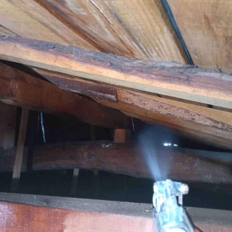 屋根裏の木材にシロアリ駆除剤を散布