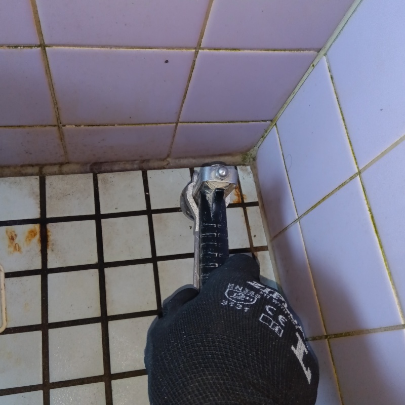 トイレ床の目地からシロアリ駆除剤を注入